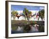 Cacti in Garden, Fundacion Cesar Manrique, Taro de Tahiche, Lanzarote, Canary Islands, Spain-Stuart Black-Framed Photographic Print