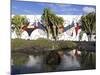 Cacti in Garden, Fundacion Cesar Manrique, Taro de Tahiche, Lanzarote, Canary Islands, Spain-Stuart Black-Mounted Photographic Print