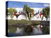 Cacti in Garden, Fundacion Cesar Manrique, Taro de Tahiche, Lanzarote, Canary Islands, Spain-Stuart Black-Stretched Canvas