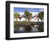 Cacti in Garden, Fundacion Cesar Manrique, Taro de Tahiche, Lanzarote, Canary Islands, Spain-Stuart Black-Framed Photographic Print