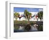 Cacti in Garden, Fundacion Cesar Manrique, Taro de Tahiche, Lanzarote, Canary Islands, Spain-Stuart Black-Framed Photographic Print