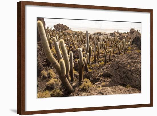 Cacti in Salar De Uyuni-Rigamondis-Framed Photographic Print