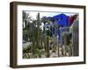 Cacti in the Majorelle Garden, Restored by the Couturier Yves Saint-Laurent, Marrakesh, Morocco-De Mann Jean-Pierre-Framed Photographic Print