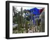 Cacti in the Majorelle Garden, Restored by the Couturier Yves Saint-Laurent, Marrakesh, Morocco-De Mann Jean-Pierre-Framed Photographic Print