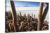 Cacti, Isla Incahuasi, a Unique Outcrop in the Middle of the Salar De Uyuni, Oruro, Bolivia-Roberto Moiola-Stretched Canvas