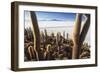 Cacti, Isla Incahuasi, a Unique Outcrop in the Middle of the Salar De Uyuni, Oruro, Bolivia-Roberto Moiola-Framed Photographic Print