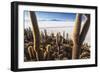 Cacti, Isla Incahuasi, a Unique Outcrop in the Middle of the Salar De Uyuni, Oruro, Bolivia-Roberto Moiola-Framed Photographic Print