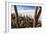 Cacti, Isla Incahuasi, a Unique Outcrop in the Middle of the Salar De Uyuni, Oruro, Bolivia-Roberto Moiola-Framed Photographic Print