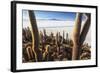 Cacti, Isla Incahuasi, a Unique Outcrop in the Middle of the Salar De Uyuni, Oruro, Bolivia-Roberto Moiola-Framed Photographic Print