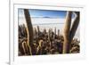 Cacti, Isla Incahuasi, a Unique Outcrop in the Middle of the Salar De Uyuni, Oruro, Bolivia-Roberto Moiola-Framed Photographic Print