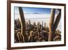 Cacti, Isla Incahuasi, a Unique Outcrop in the Middle of the Salar De Uyuni, Oruro, Bolivia-Roberto Moiola-Framed Photographic Print