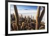 Cacti, Isla Incahuasi, a Unique Outcrop in the Middle of the Salar De Uyuni, Oruro, Bolivia-Roberto Moiola-Framed Photographic Print