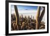 Cacti, Isla Incahuasi, a Unique Outcrop in the Middle of the Salar De Uyuni, Oruro, Bolivia-Roberto Moiola-Framed Photographic Print