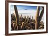 Cacti, Isla Incahuasi, a Unique Outcrop in the Middle of the Salar De Uyuni, Oruro, Bolivia-Roberto Moiola-Framed Photographic Print