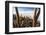 Cacti, Isla Incahuasi, a Unique Outcrop in the Middle of the Salar De Uyuni, Oruro, Bolivia-Roberto Moiola-Framed Photographic Print