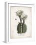 Cacti IV-Gwendolyn Babbitt-Framed Art Print