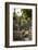 Cacti, Jardin Majorelle, Owned by Yves St. Laurent, Marrakech, Morocco, North Africa, Africa-Stephen Studd-Framed Photographic Print