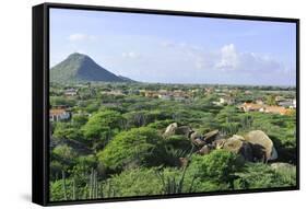 Cacti Landscape View from Casibari Rock Formation, Aruba-meunierd-Framed Stretched Canvas