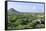 Cacti Landscape View from Casibari Rock Formation, Aruba-meunierd-Framed Stretched Canvas