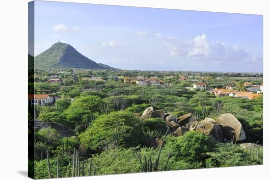 Cacti Landscape View from Casibari Rock Formation, Aruba-meunierd-Stretched Canvas