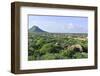 Cacti Landscape View from Casibari Rock Formation, Aruba-meunierd-Framed Photographic Print