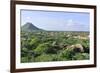 Cacti Landscape View from Casibari Rock Formation, Aruba-meunierd-Framed Photographic Print