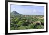 Cacti Landscape View from Casibari Rock Formation, Aruba-meunierd-Framed Photographic Print