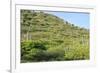 Cacti Landscape View in Aruba Island-meunierd-Framed Photographic Print