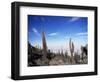 Cacti on Inkawasi Island, Salar De Uyuni, Uyuni Salt Flats, Bolivia, South America-Rhonda Klevansky-Framed Premium Photographic Print