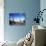 Cacti on Inkawasi Island, Salar De Uyuni, Uyuni Salt Flats, Bolivia, South America-Rhonda Klevansky-Photographic Print displayed on a wall