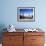 Cacti on Inkawasi Island, Salar De Uyuni, Uyuni Salt Flats, Bolivia, South America-Rhonda Klevansky-Framed Photographic Print displayed on a wall