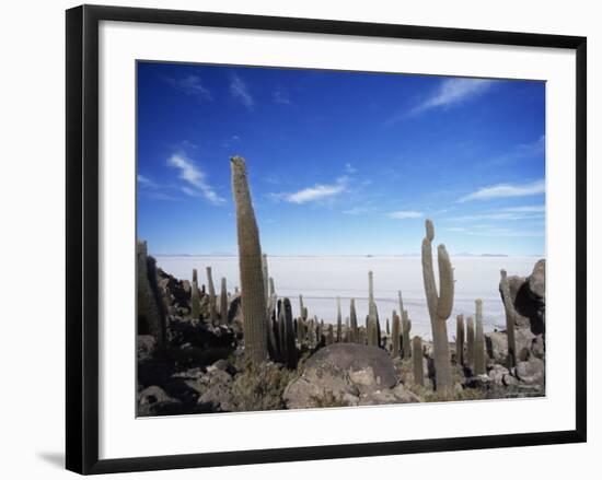 Cacti on Inkawasi Island, Salar De Uyuni, Uyuni Salt Flats, Bolivia, South America-Rhonda Klevansky-Framed Photographic Print