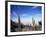 Cacti on Inkawasi Island, Salar De Uyuni, Uyuni Salt Flats, Bolivia, South America-Rhonda Klevansky-Framed Photographic Print