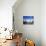 Cacti on Inkawasi Island, Salar De Uyuni, Uyuni Salt Flats, Bolivia, South America-Rhonda Klevansky-Photographic Print displayed on a wall