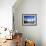 Cacti on Inkawasi Island, Salar De Uyuni, Uyuni Salt Flats, Bolivia, South America-Rhonda Klevansky-Framed Photographic Print displayed on a wall