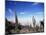 Cacti on Inkawasi Island, Salar De Uyuni, Uyuni Salt Flats, Bolivia, South America-Rhonda Klevansky-Mounted Photographic Print