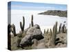 Cacti on Isla De Los Pescadores, and Salt Flats, Salar De Uyuni, Southwest Highlands, Bolivia-Tony Waltham-Stretched Canvas