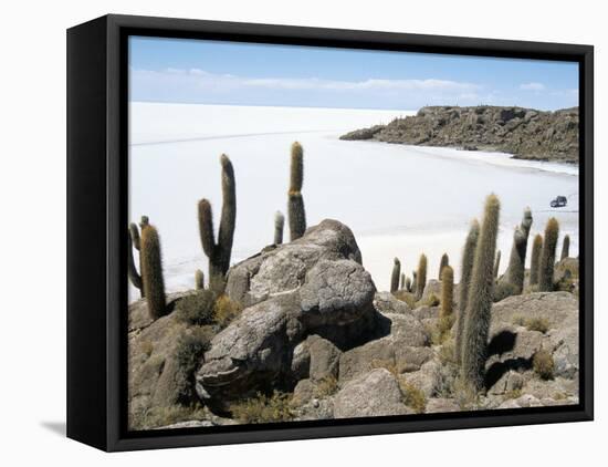 Cacti on Isla De Los Pescadores, and Salt Flats, Salar De Uyuni, Southwest Highlands, Bolivia-Tony Waltham-Framed Stretched Canvas