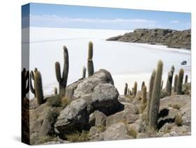 Cacti on Isla De Los Pescadores, and Salt Flats, Salar De Uyuni, Southwest Highlands, Bolivia-Tony Waltham-Stretched Canvas