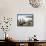 Cacti on Isla De Los Pescadores, and Salt Flats, Salar De Uyuni, Southwest Highlands, Bolivia-Tony Waltham-Framed Stretched Canvas displayed on a wall