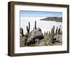 Cacti on Isla De Los Pescadores, and Salt Flats, Salar De Uyuni, Southwest Highlands, Bolivia-Tony Waltham-Framed Photographic Print