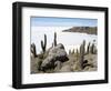 Cacti on Isla De Los Pescadores, and Salt Flats, Salar De Uyuni, Southwest Highlands, Bolivia-Tony Waltham-Framed Photographic Print