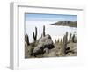 Cacti on Isla De Los Pescadores, and Salt Flats, Salar De Uyuni, Southwest Highlands, Bolivia-Tony Waltham-Framed Photographic Print