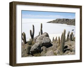 Cacti on Isla De Los Pescadores, and Salt Flats, Salar De Uyuni, Southwest Highlands, Bolivia-Tony Waltham-Framed Photographic Print