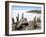 Cacti on Isla De Los Pescadores, and Salt Flats, Salar De Uyuni, Southwest Highlands, Bolivia-Tony Waltham-Framed Photographic Print