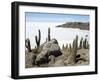 Cacti on Isla De Los Pescadores, and Salt Flats, Salar De Uyuni, Southwest Highlands, Bolivia-Tony Waltham-Framed Photographic Print