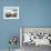 Cacti on Isla De Los Pescadores, and Salt Flats, Salar De Uyuni, Southwest Highlands, Bolivia-Tony Waltham-Framed Photographic Print displayed on a wall