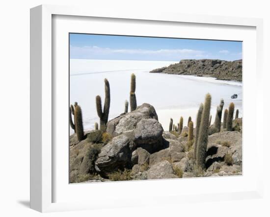 Cacti on Isla De Los Pescadores, and Salt Flats, Salar De Uyuni, Southwest Highlands, Bolivia-Tony Waltham-Framed Photographic Print