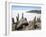 Cacti on Isla De Los Pescadores, and Salt Flats, Salar De Uyuni, Southwest Highlands, Bolivia-Tony Waltham-Framed Photographic Print