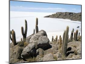 Cacti on Isla De Los Pescadores, and Salt Flats, Salar De Uyuni, Southwest Highlands, Bolivia-Tony Waltham-Mounted Photographic Print